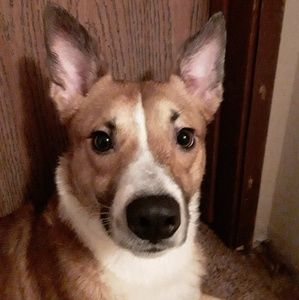 Meet your Posher, Ruben